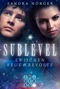 SUBLEVEL 2: Zwischen Reue und Revolte - Sandra Hörger - E-Book