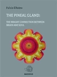 The pineal gland - D'avino Fulvio - E-Book