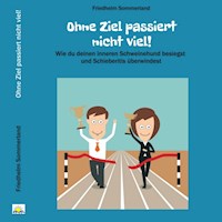Ohne Ziel passiert nicht viel! - Friedhelm Sommerland - Hörbuch
