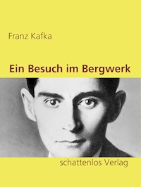 Ein Besuch im Bergwerk - Franz  kafka - E-Book