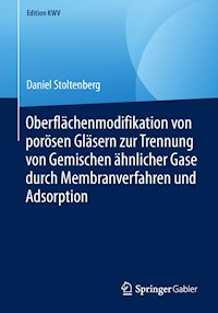 Oberflächenmodifikation von porösen Gläsern zur Trennung von Gemischen ähnlicher Gase durch Membranverfahren und Adsorption - Daniel Stoltenberg - E-Book