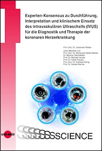 Experten-Konsensus zu Durchführung, Interpretation und klinischem Einsatz des intravaskulären Ultraschalls (IVUS) für die Diagnostik und Therapie der koronaren Herzerkrankung - Johannes Rieber - E-Book