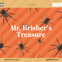 Mr. Brisher's Treasure (Unabridged) - H G Wells - Hörbuch