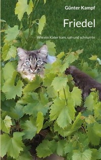 Friedel - Günter Kampf - E-Book