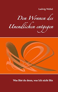 Den Wonnen des Unendlichen entgegen - Ludwig Weibel - E-Book
