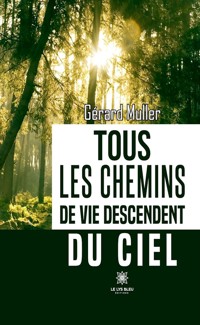 Tous les chemins de vie descendent du ciel - Gérard Muller - E-Book