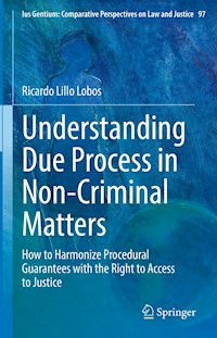 Understanding Due Process in Non-Criminal Matters - Ricardo Lillo Lobos - E-Book