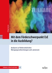 Mit dem Förderschwerpunkt EsE in die Ausbildung? - Philipp Hascher - kostenlos E-Book