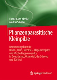 Pflanzenparasitische Kleinpilze - Friedemann Klenke - E-Book