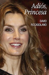 Adiós, Princesa - David Rocasolano Llaser - E-Book
