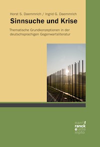 Sinnsuche und Krise - Horst S. Daemmrich - E-Book