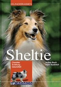 Sheltie - Andrea Bruch - E-Book