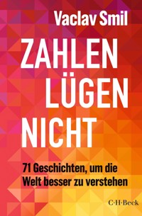 Zahlen lügen nicht - Vaclav Smil - E-Book