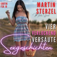 Vier verlockend versaute Sexgeschichten - Martin Sterzel - Hörbuch