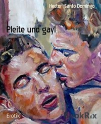 Pleite und gayl - Hector Santo Domingo - E-Book