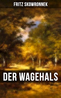 DER WAGEHALS von Fritz Skowronnek - Fritz Skowronnek - E-Book
