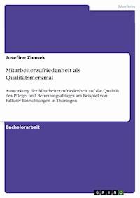 Mitarbeiterzufriedenheit als Qualitätsmerkmal - Josefine Ziemek - E-Book