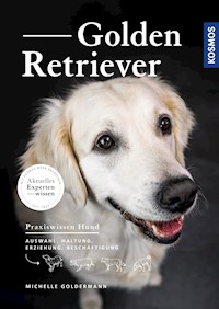 Golden Retriever - Michelle Goldermann - E-Book