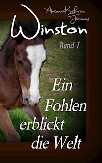Winston - Ein Fohlen erblickt die Welt - Antonia Katharina Tessnow - E-Book