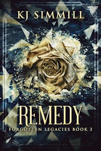 Remedy - KJ Simmill - E-Book