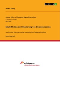 Möglichkeiten der Bilanzierung von Emissionsrechten - Steffen Arning - E-Book