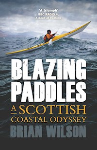 Blazing Paddles - Brian Wilson - E-Book