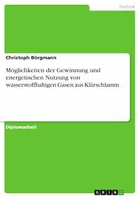 Möglichkeiten der Gewinnung und energetischen Nutzung von wasserstoffhaltigen Gasen aus Klärschlamm - Christoph Börgmann - E-Book