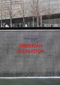 American Aversation - Morten Sestoft - E-Book
