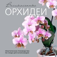 Великолепные орхидеи. Практичное руководство по уходу для начинающих - Елена Бачурина - Hörbuch