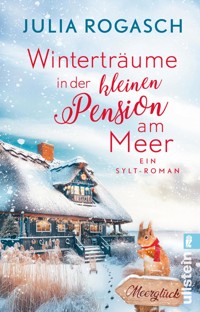 Winterträume in der kleinen Pension am Meer - Julia Rogasch - E-Book