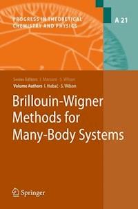 Brillouin-Wigner Methods for Many-Body Systems - Stephen Wilson - E-Book