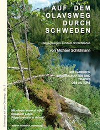 Auf dem Olavsweg durch Schweden - Michael Schildmann - E-Book