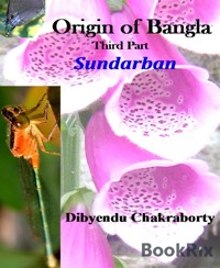 Origin of Bangla Third Part Sundarban - Dibyendu Chakraborty - E-Book