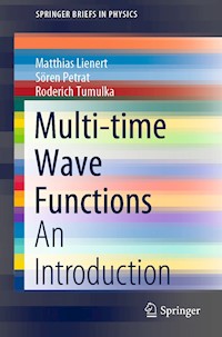 Multi-time Wave Functions - Matthias Lienert - E-Book