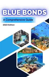 Blue Bonds: A Comprehensive Guide 2023 Edition - Diego Hidalgo-Oñate - E-Book