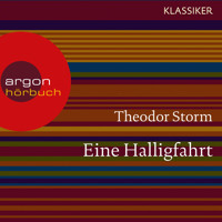 Eine Halligfahrt (Ungekürzte Lesung) - Theodor Storm - Hörbuch