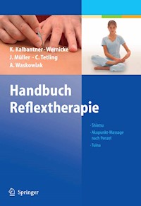Handbuch Reflextherapie - Karin Kalbantner-Wernicke - E-Book