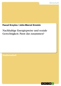 Nachhaltige Energiepreise und soziale Gerechtigkeit. Passt das zusammen? - Pascal Kreylos - E-Book