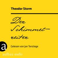Der Schimmelreiter (Ungekürzt) - Theodor Storm - Hörbuch