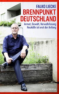 Brennpunkt Deutschland - Falko Liecke - E-Book