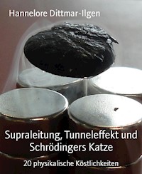 Supraleitung, Tunneleffekt und Schrödingers Katze - Hannelore Dittmar-Ilgen - E-Book
