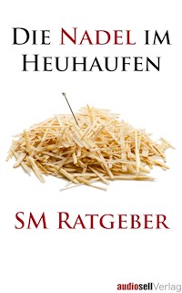 Die Nadel im Heuhaufen - Irena Böttcher - E-Book