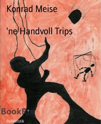 'ne Handvoll Trips - Konrad Meise - E-Book