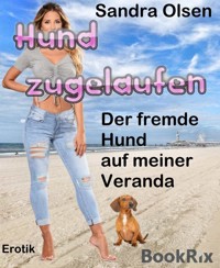 Hund zugelaufen - Sandra Olsen - E-Book