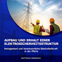 Aufbau und Erhalt einer Elektrosicherheitsstruktur - Matthias Surovcik - Hörbuch