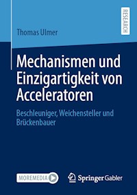 Mechanismen und Einzigartigkeit von Acceleratoren - Thomas Ulmer - E-Book