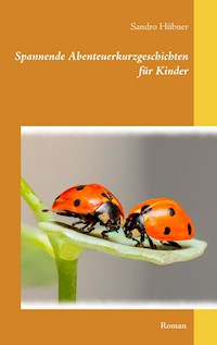 Spannende Abenteuerkurzgeschichten für Kinder - Sandro Hübner - E-Book