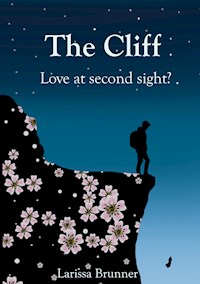 The Cliff - Larissa Brunner - E-Book