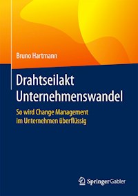 Drahtseilakt Unternehmenswandel - Bruno Hartmann - E-Book