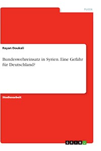 Bundeswehreinsatz in Syrien. Eine Gefahr für Deutschland? - Rayan Doukali - E-Book